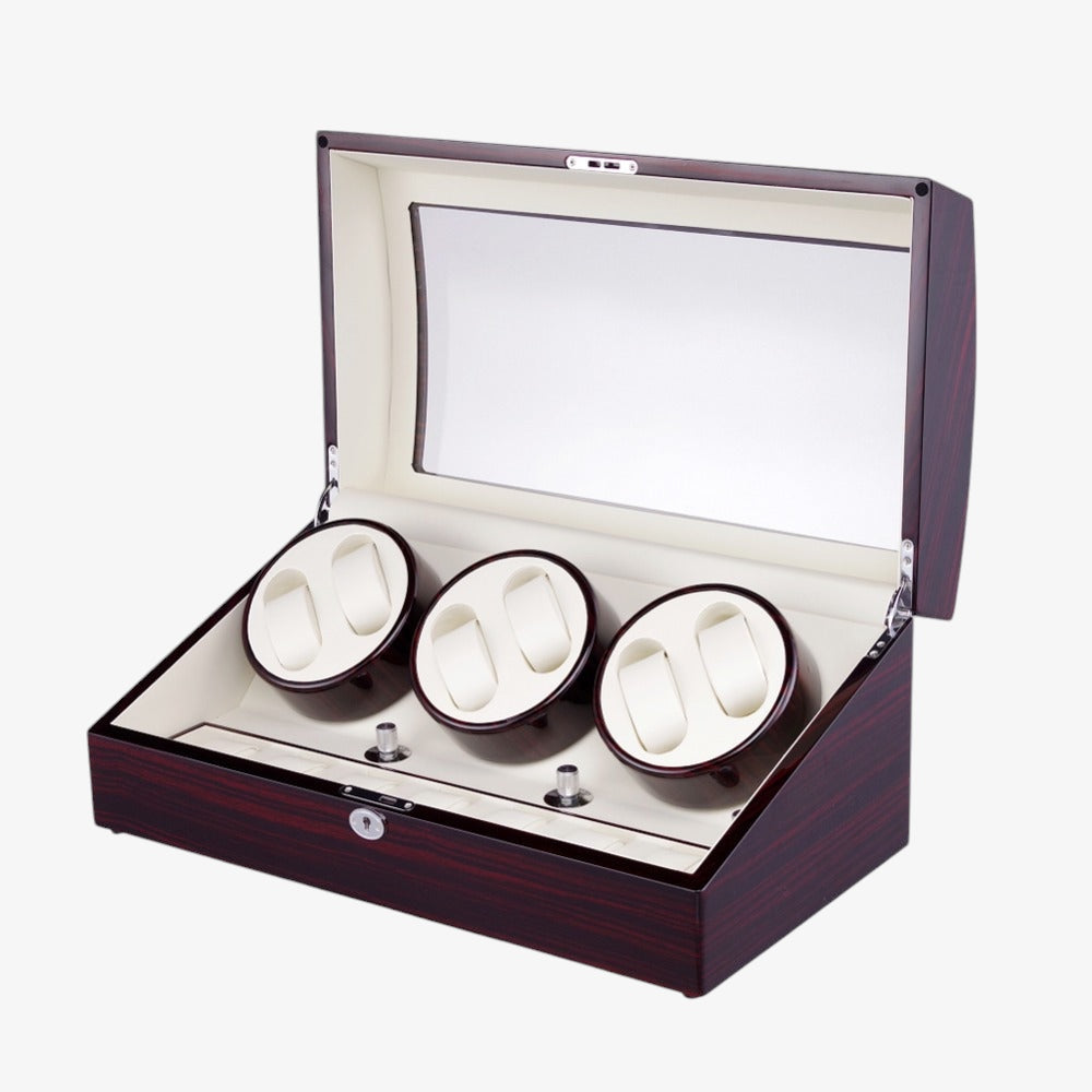 REMONTOIR 6 MONTRES